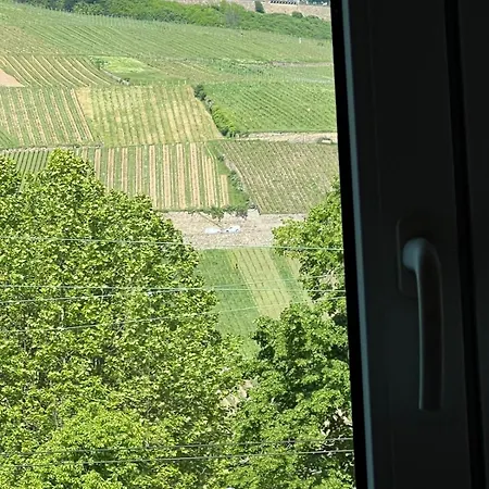 Design Am Rhein I Traumlage Rheinufer I 3br I Kueche I Oeffentl Parkplaetze I Helloyou X Bright