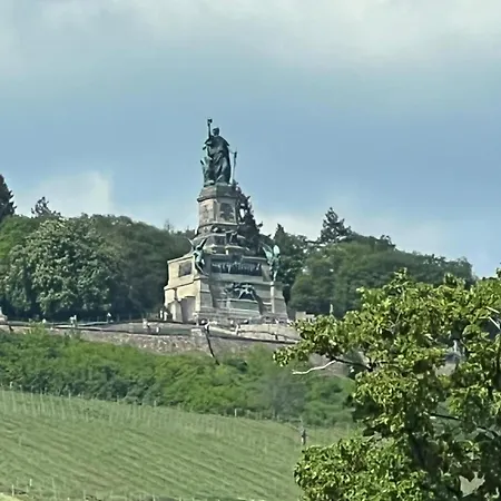 アパート Design Am Rhein - Traumlage Rheinufer I Kueche I Oeffentl Parkplaetze *