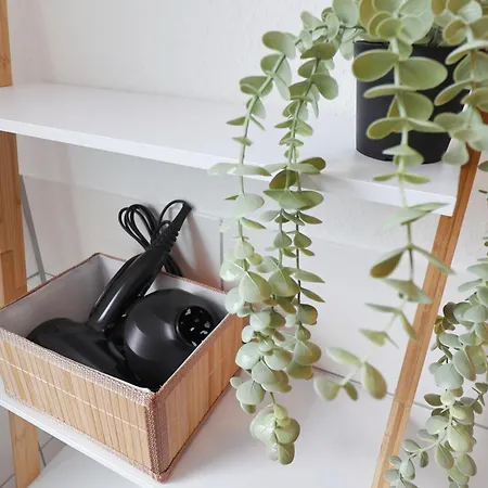 Design Am Rhein - Traumlage Rheinufer I Kueche I Oeffentl Parkplaetze アパート