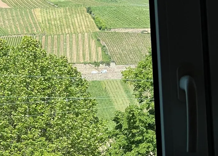 Design Am Rhein I Traumlage Rheinufer I 3br I Kueche I Oeffentl Parkplaetze I Helloyou X Bright Collection